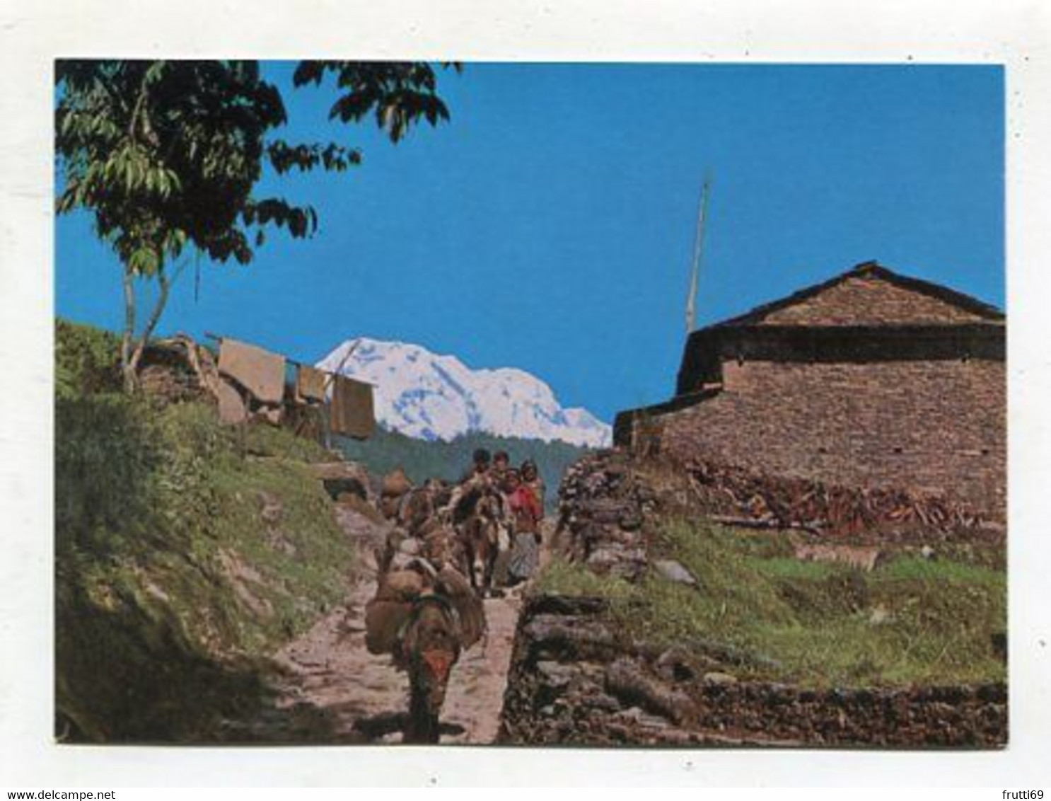 AK 119028 NEPAL - A Typical Highland Mule-track In The Background Of The Annapurna Range - Népal