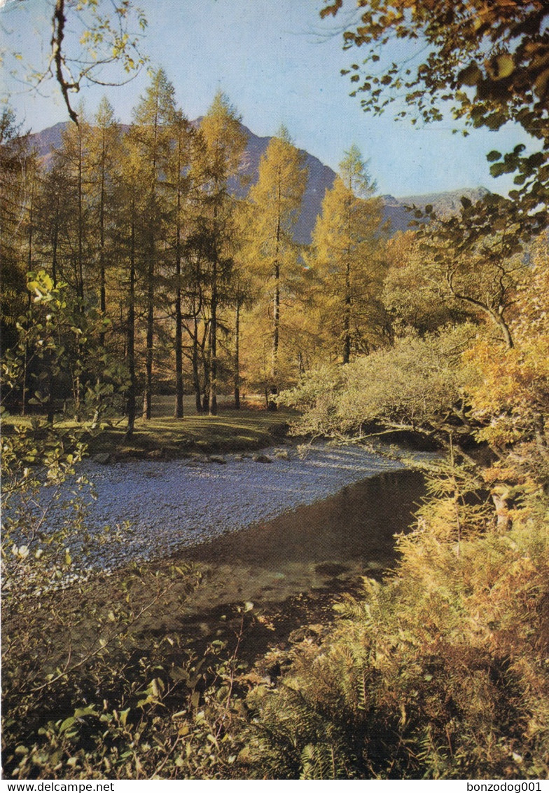 Borrowdale Near Grange, Lake District, Cumbria. Unposted - Borrowdale