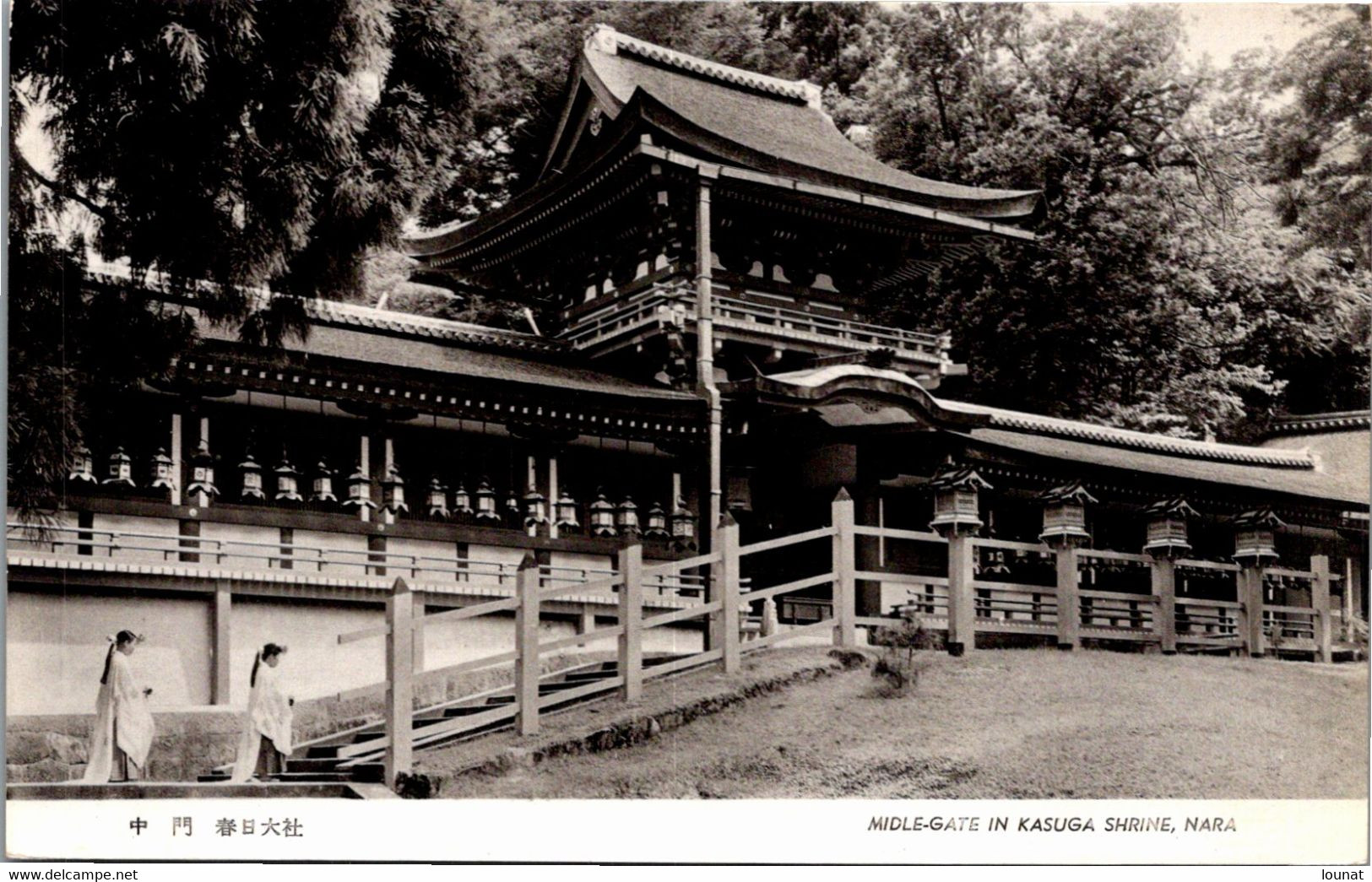 Asie - JAPON - NARA, Avenue Of Lanterns At Kasuga Shrine - Autres & Non Classés