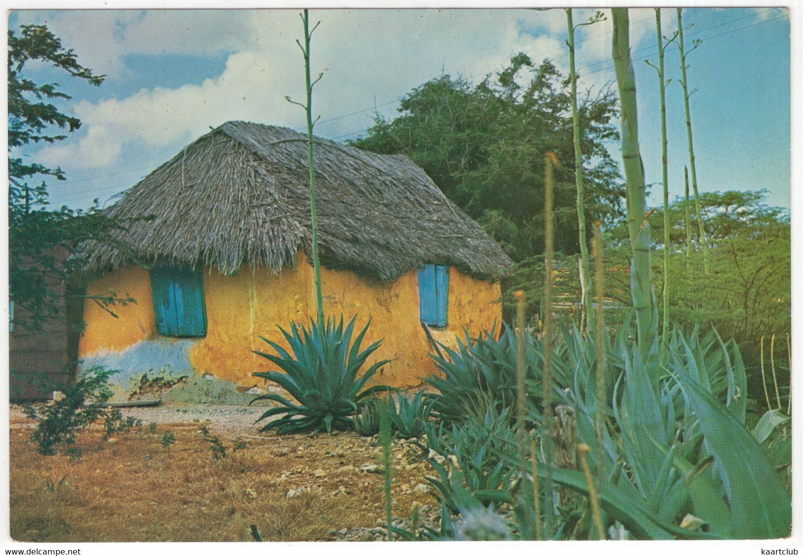 A Typical Native Country (Cunucu) House On The Island Of Bonaire - (Netherlands Antilles) - Bonaire