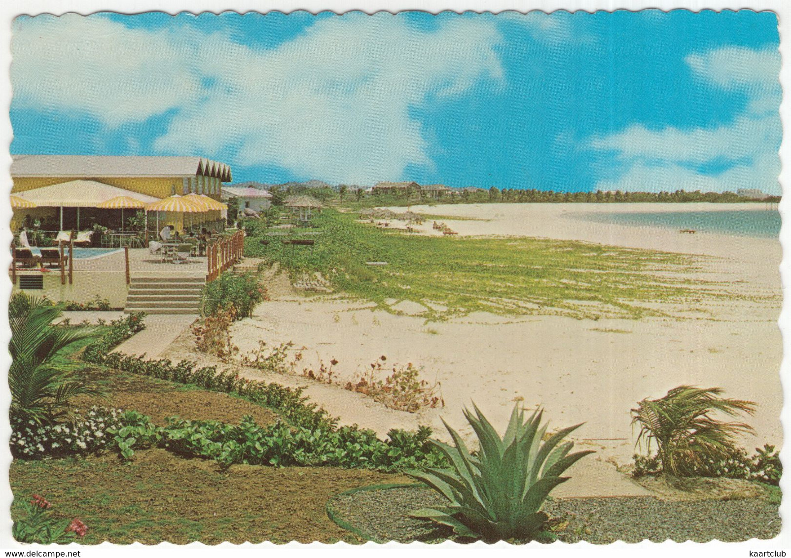 Aruba - Divi Divi Beach Hotel  - Eagle Beach With Pelican Bar & Pool Terrace - (Neth. Antilles ) - Aruba
