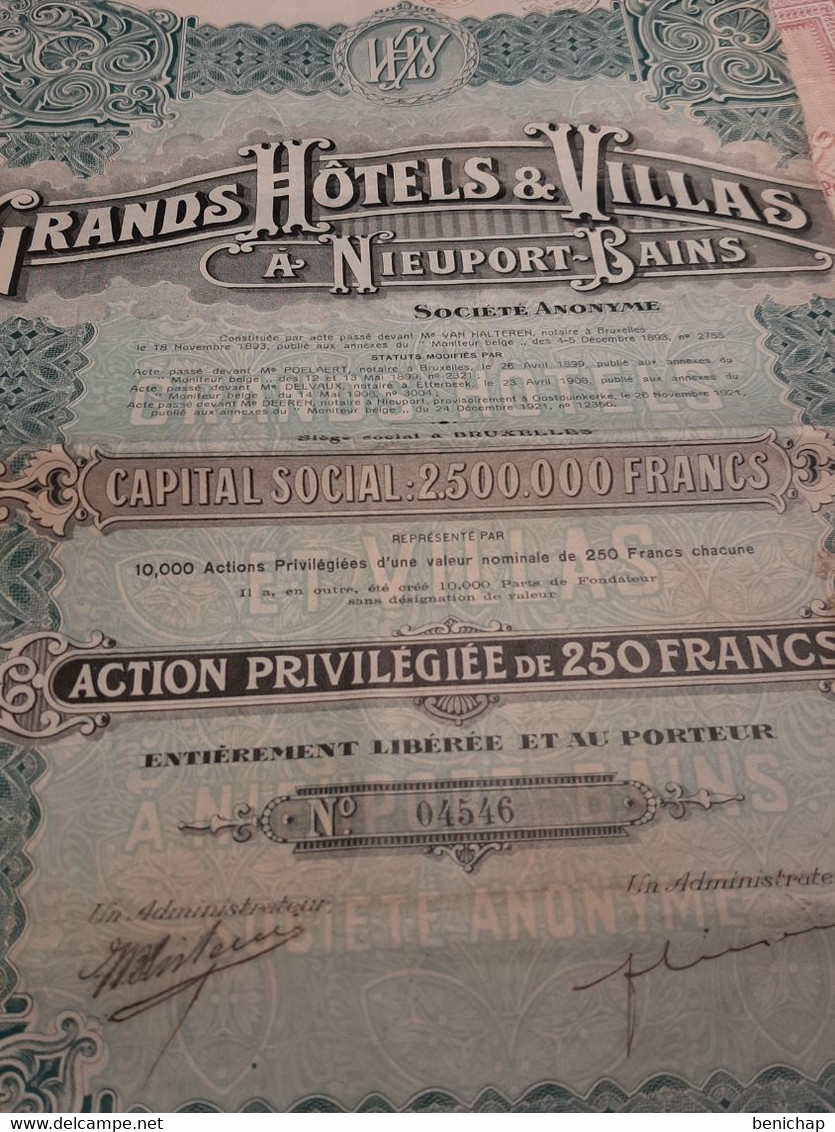 Grands Hôtels & Villas à Nieuport-Bains S.A. - Action Privilégiée De 250 Frs. - Bruxelles 24 Décembre 1921. - Tourism