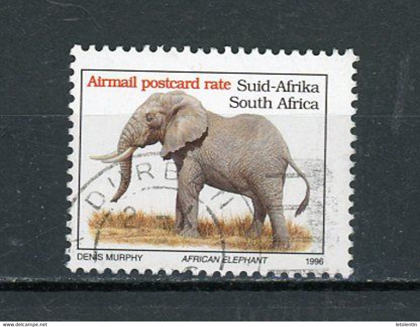 AFRIQUE DU SUD : POSTE AERIENNE (ELEPHANT) - N° Yvert 11 Obli. - Airmail