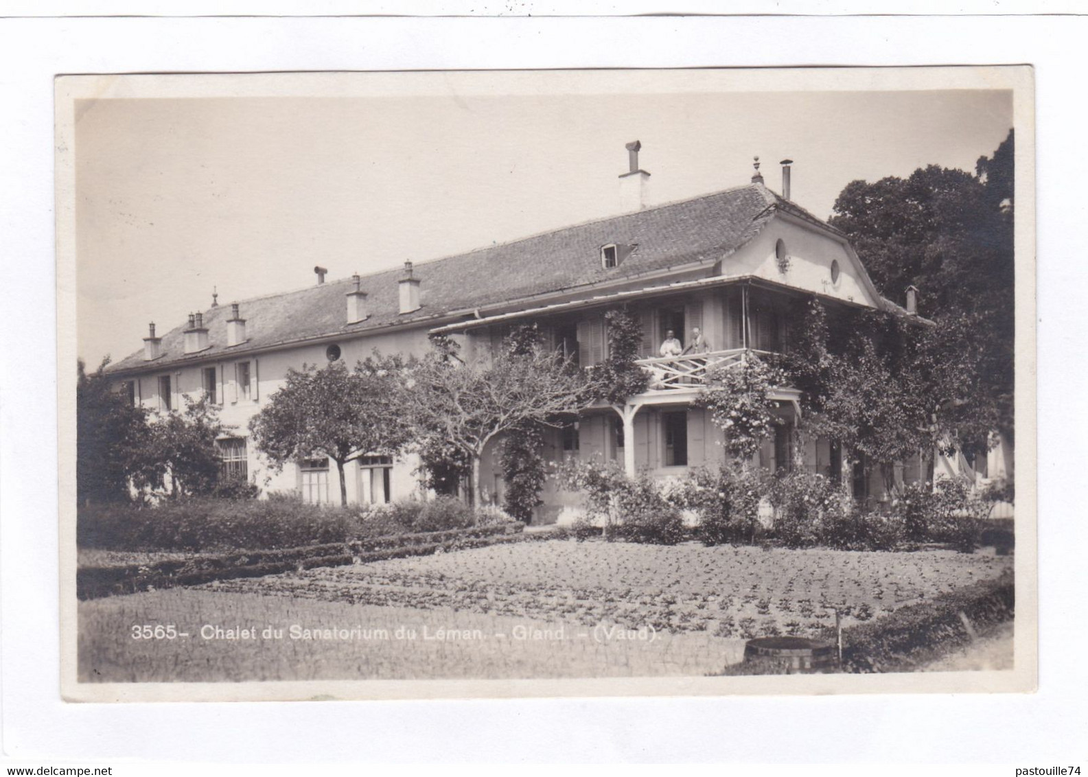 Carte Photo : 14 X 9  - Chalet Du Sanatorium Du Léman - Gland - Gland