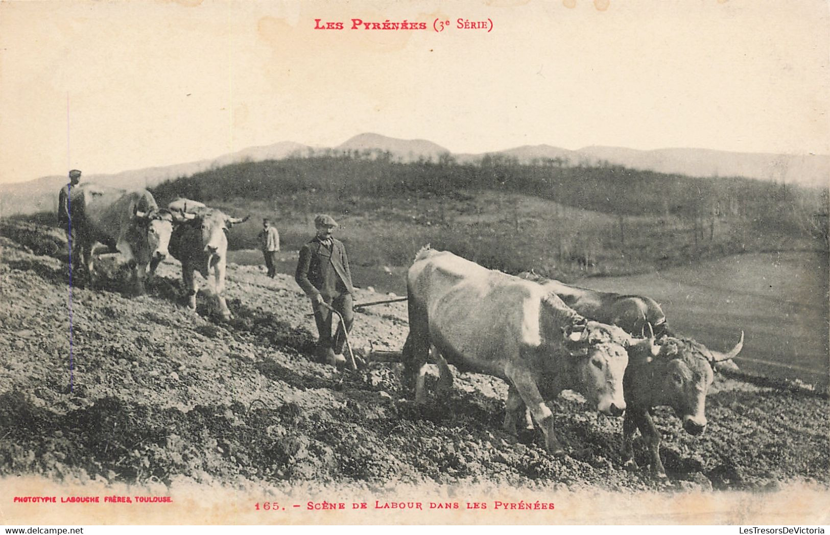 Agriculture - Les Pyrénées - Scène De Labour Dans Les Pyrénées - Phot. Labouche Frères - Boeuf  - Carte Postale Ancienne - Equipos