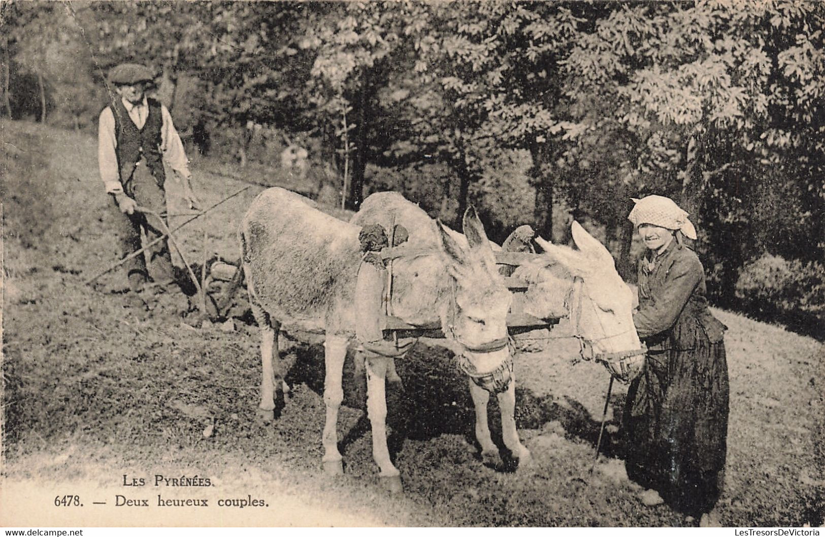 Agriculture - Les Pyrénées - Deux Heureux Couples - Anes - Dos Vert   - Carte Postale Ancienne - Wagengespanne