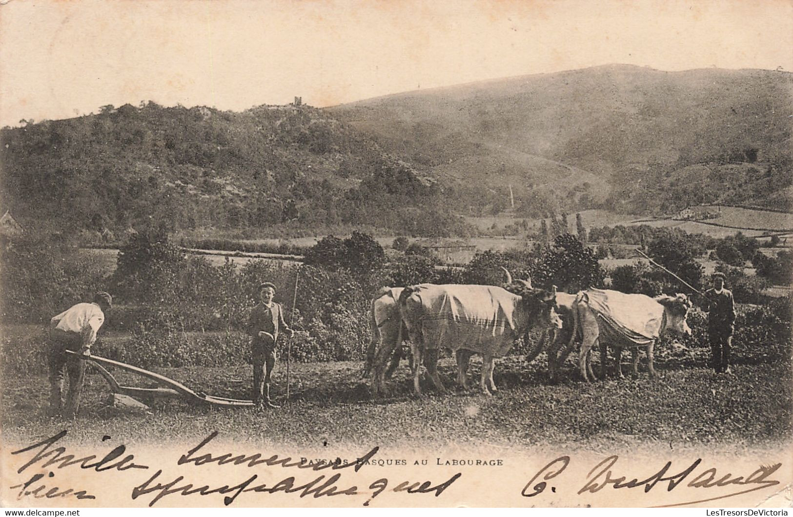 Agriculture - Paysans Besques Au Labourage - Boeuf - Panorama - Carte Postale Ancienne - Equipos