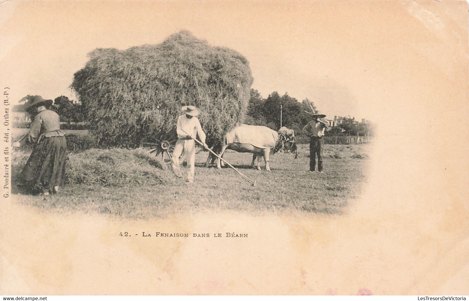 Agriculture - La Fenaison Dans Le Béarn - Edit. G. Pondarré Et Fils  - Boeuf - Carte Postale Ancienne - Spannen