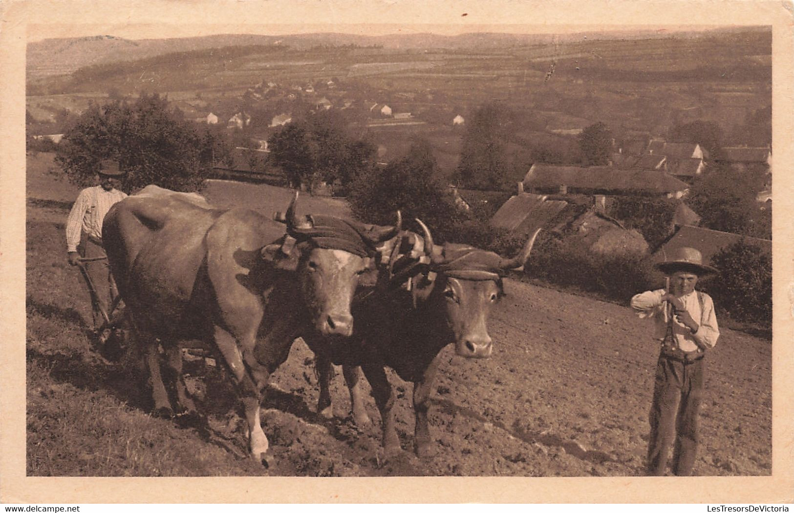 Agriculture -En Morvan - Le Labourage - Héliogravure D'art Coqueugniot Et Truchot - Boeuf - Carte Postale Ancienne - Teams