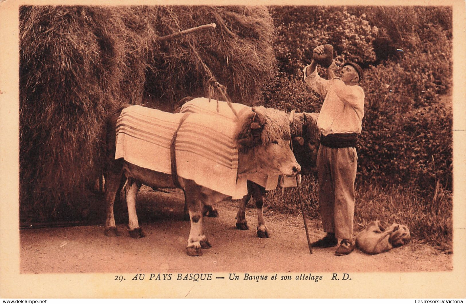 Agriculture - Au Pays Basque - Un Basque Et Son Attelage - Boeuf - Edit. Dorange - Carte Postale Ancienne - Spannen