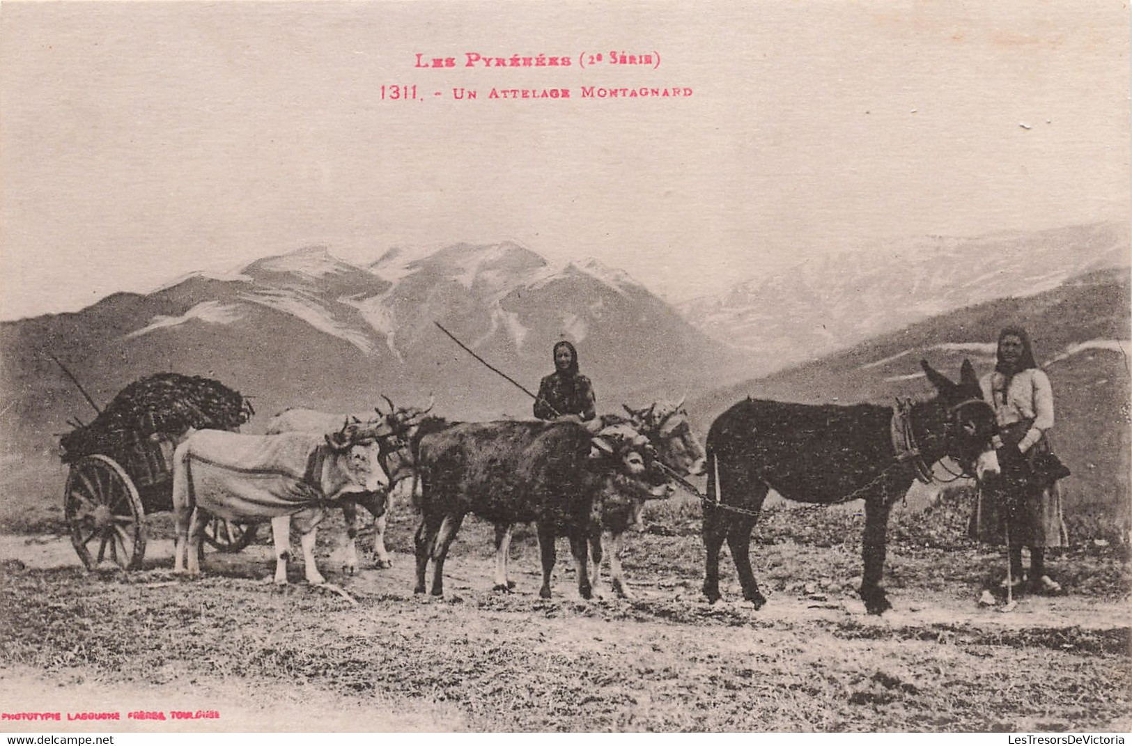 Agriculture - Les Pyrénées - Un Attelage Montagnard - Ane - Phot. Labouche Frères - Carte Postale Ancienne - Attelages