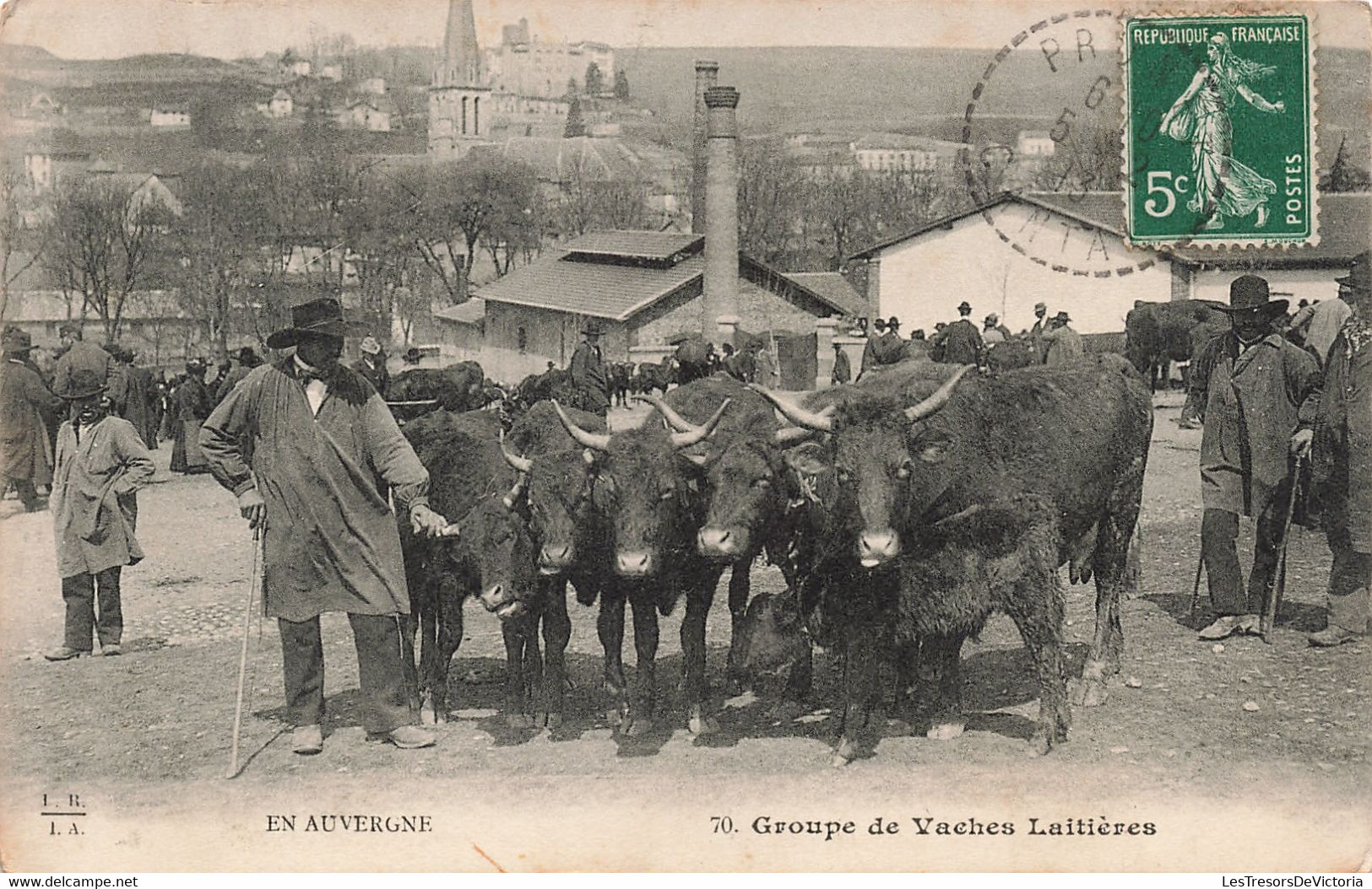 Agriculture - En Auvergne - Groupe De Vaches Laitières - Carte Postale Ancienne - Wagengespanne