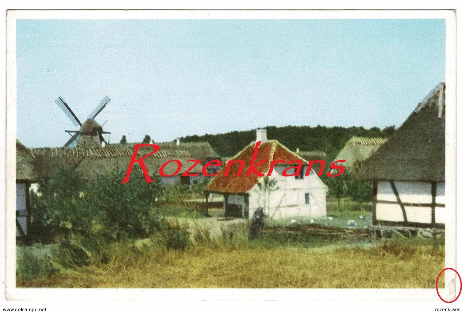 Denmark Danmark Denemarken Windmill Den Fynske Landsby Ved Odense CPA Old Postcard AK Brevkort (In Very Good Condition) - Danemark