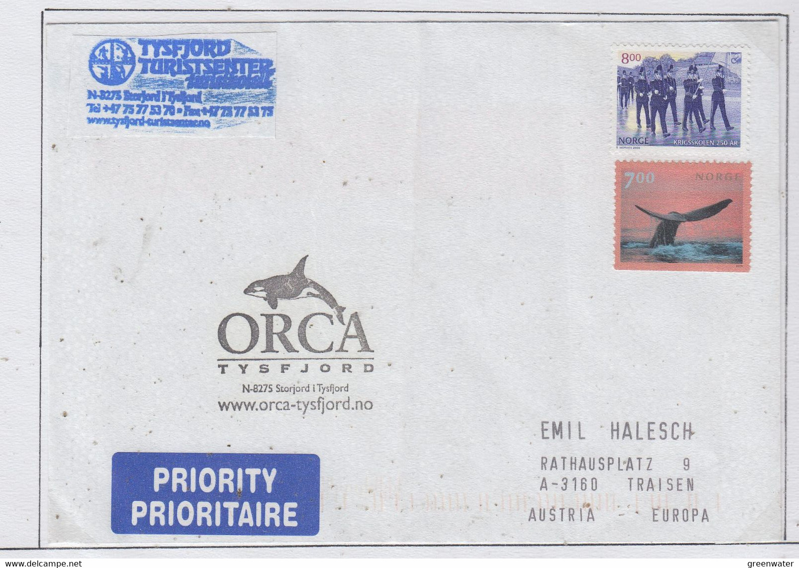 Norway Orca Cover Ca Tysfjord (cover Is Folded) (AN153A) - Arctic Tierwelt