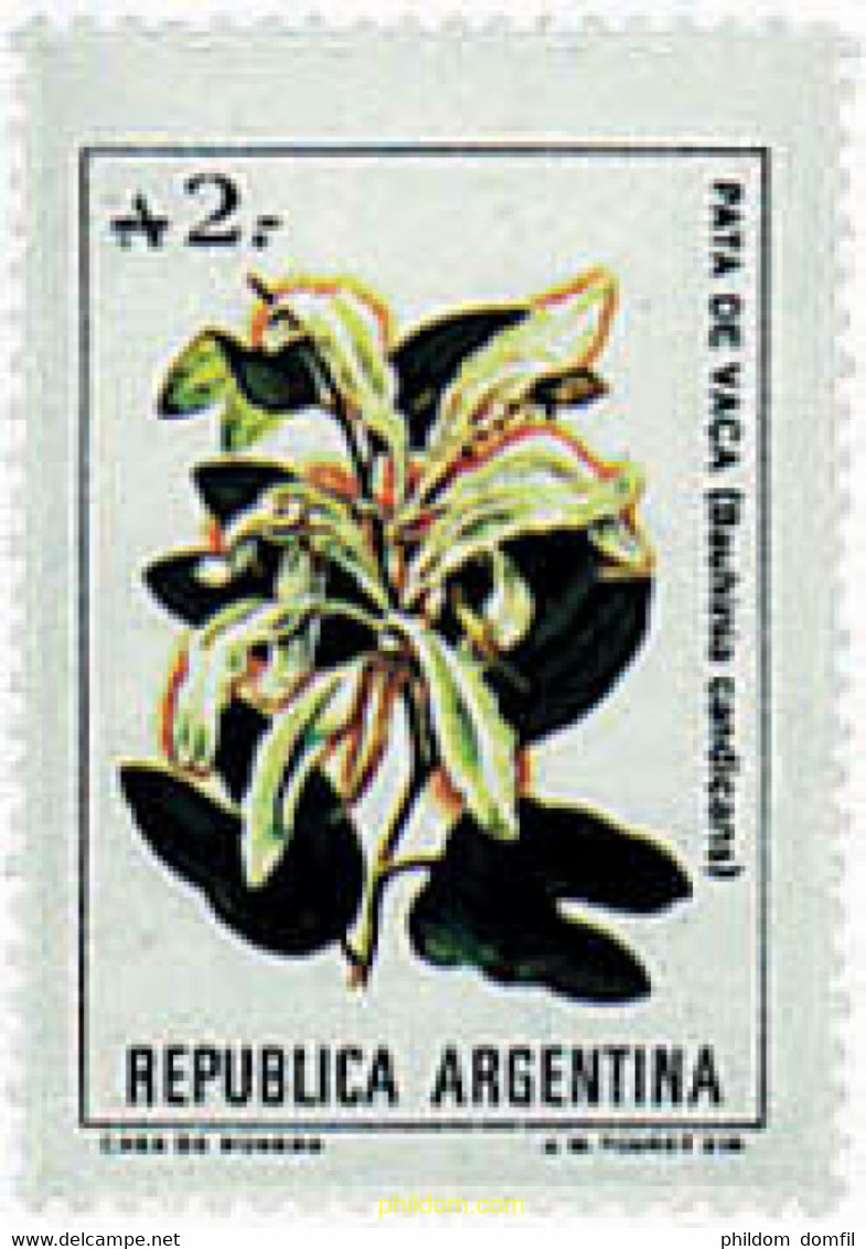 79559 MNH ARGENTINA 1988 FLOR - Used Stamps