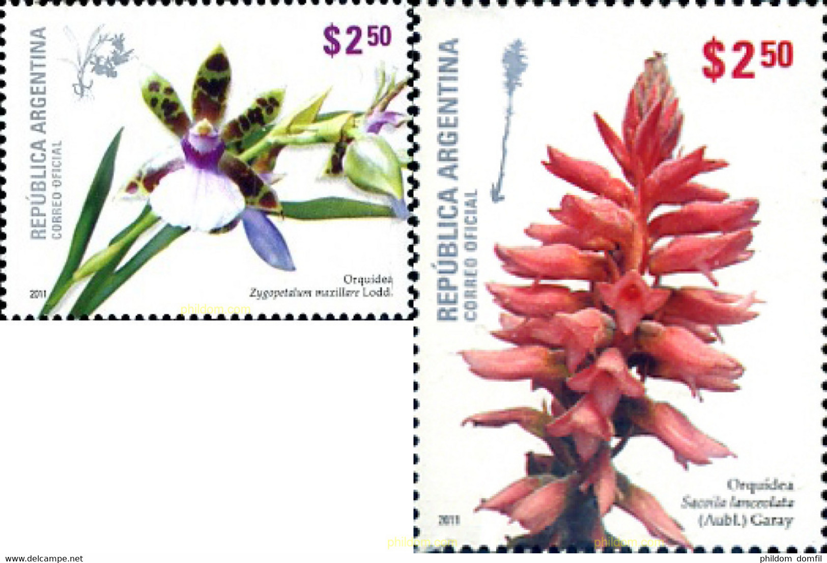 272659 MNH ARGENTINA 2011 ORQUIDEAS - Used Stamps