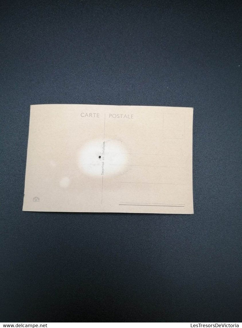 Carte Sonore - Un Oiseau Sur Une Branche De Sapin - Colorisé - Coloprint - Pouet - Carte Postale Ancienne - Cartoline Con Meccanismi