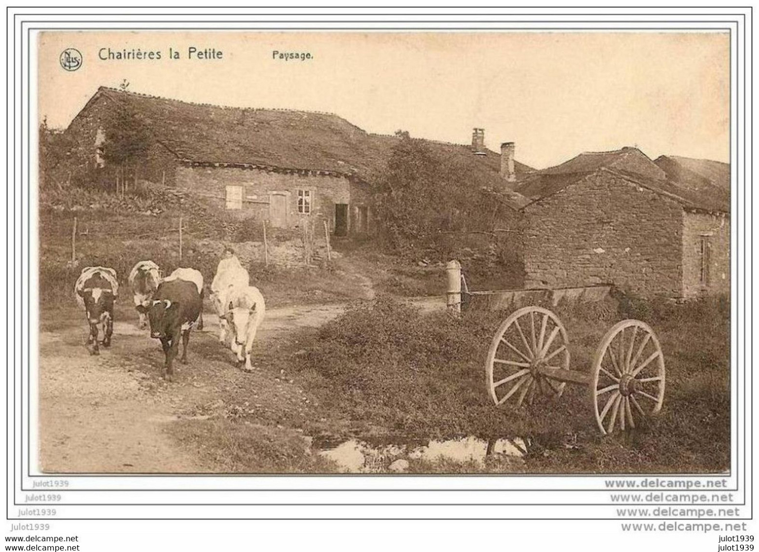 CHAIRIERE ..--  Paysage . Vaches . Triqueballe !!! - Bievre