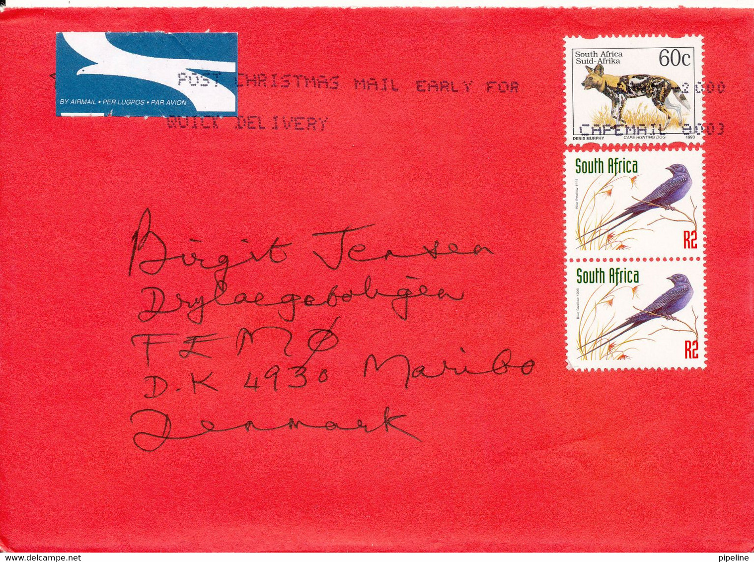 South Africa Cover Sent Air Mail To Denmark 30-11-2000 Topic Stamps BIRDS And Cape Hunting Dog - Briefe U. Dokumente