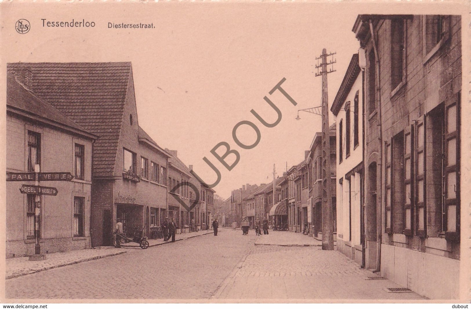 Postkaart/Carte Postale - Tessenderlo - Diesterse Straat (C3521) - Tessenderlo