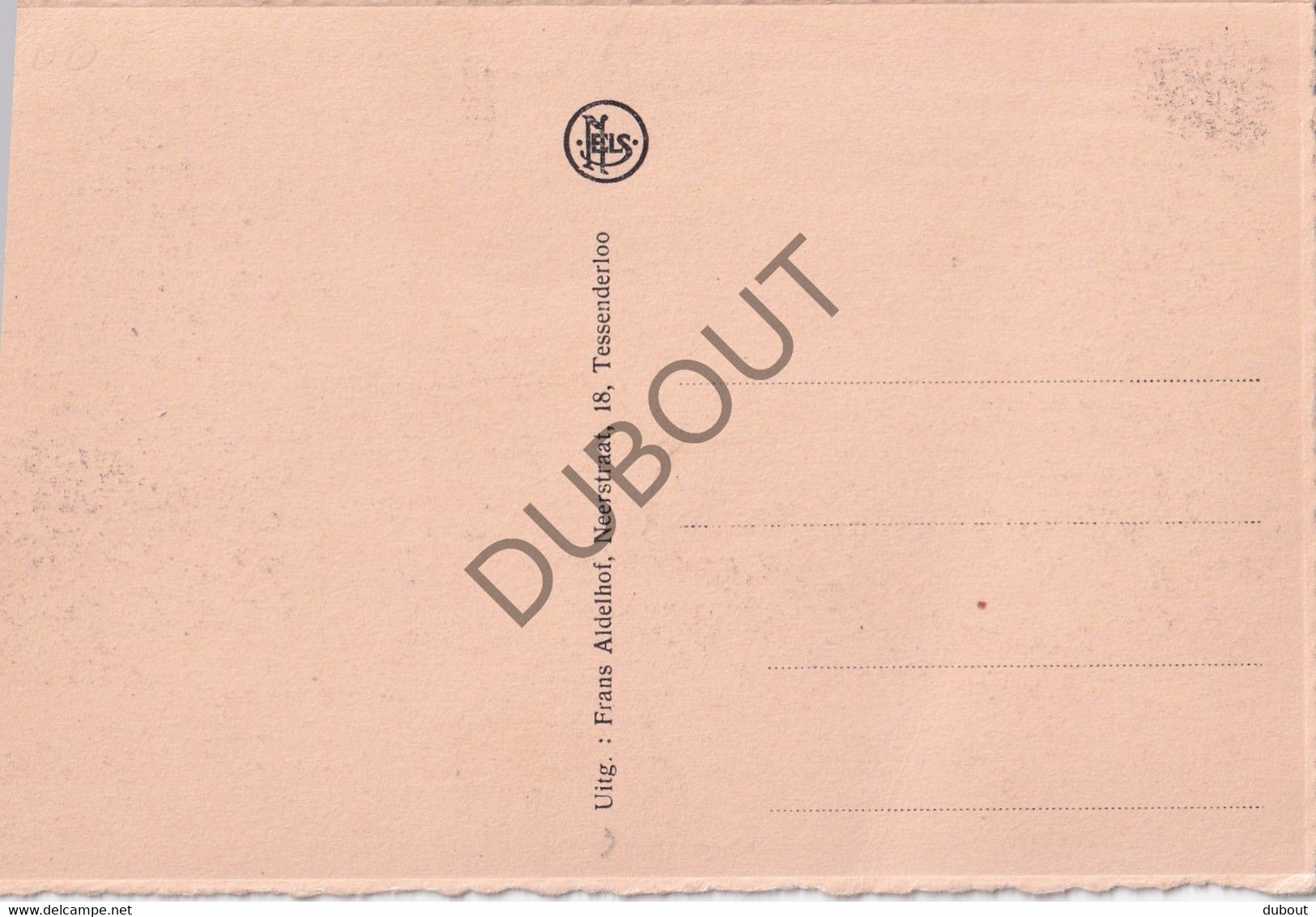 Postkaart/Carte Postale - Tessenderlo - Diesterse Straat (C3538) - Tessenderlo