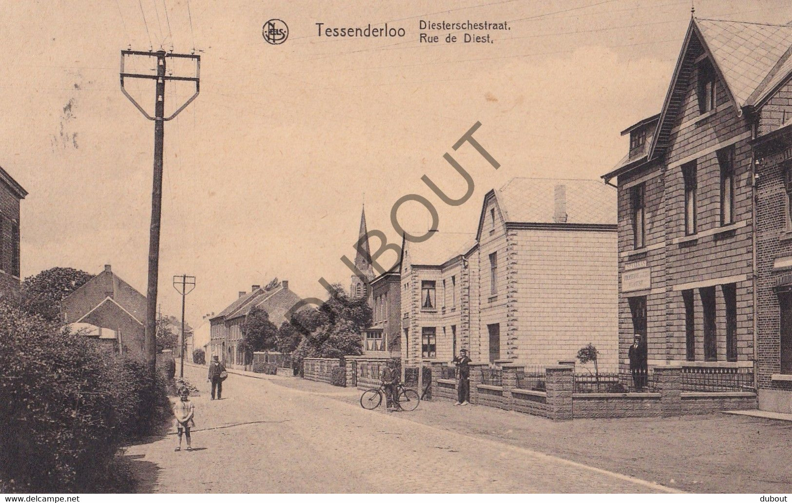 Postkaart/Carte Postale - Tessenderlo - Diestschestraat (C3541) - Tessenderlo