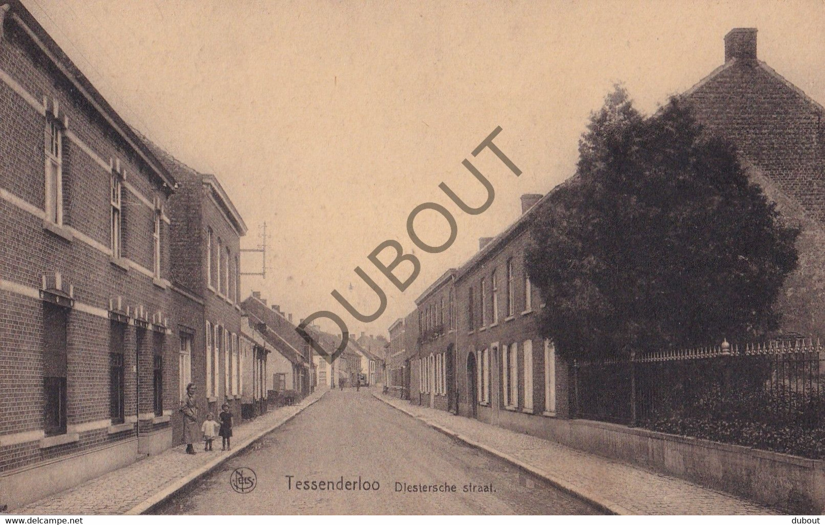 Postkaart/Carte Postale - Tessenderlo - Diestersche Straat (C3517) - Tessenderlo