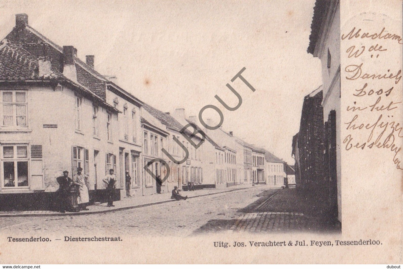 Postkaart/Carte Postale - Tessenderlo - Diesterschestraat (C3565) - Tessenderlo