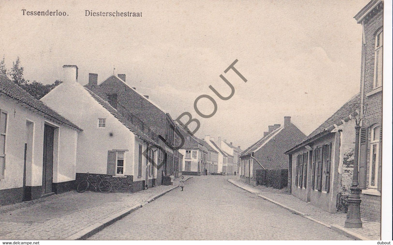 Postkaart/Carte Postale - Tessenderlo - Diesterschestraat (C3573) - Tessenderlo