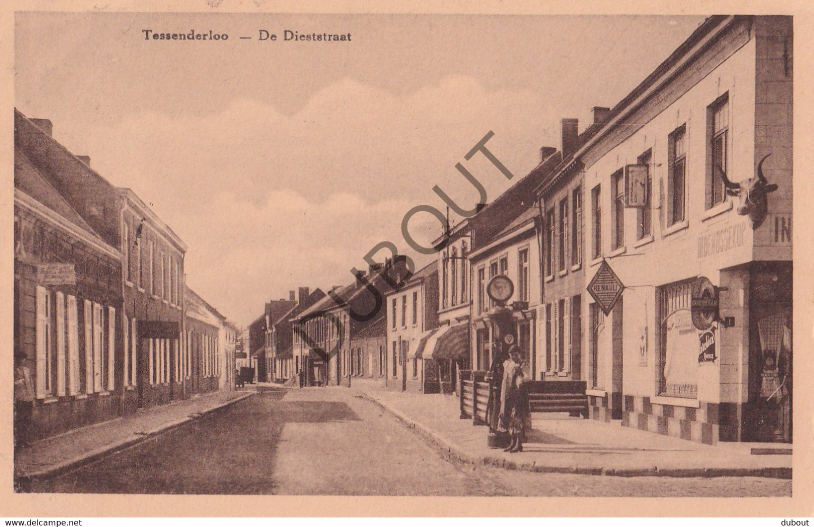 Postkaart/Carte Postale - Tessenderlo - Dieststraat (C3534) - Tessenderlo