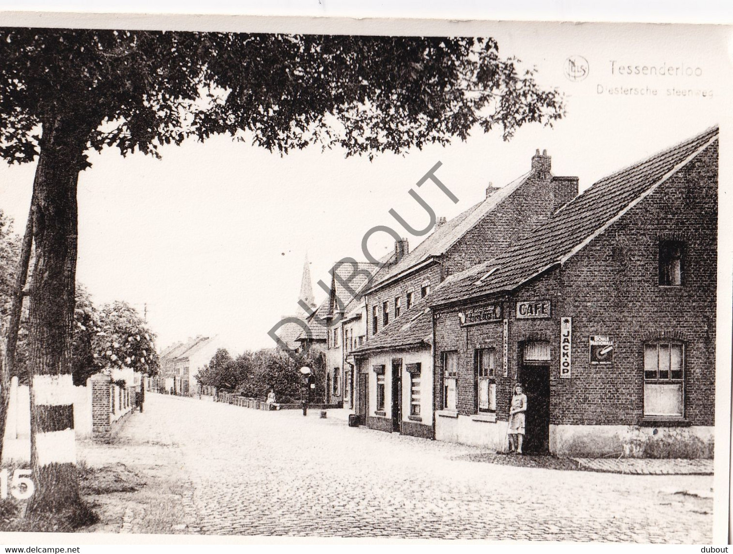 Postkaart/Carte Postale - Tessenderlo - Diestersche Steenweg  - Repro!! (C3525) - Tessenderlo