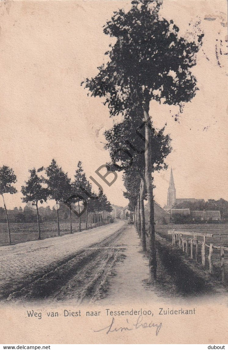 Postkaart/Carte Postale - Tessenderlo - Weg Van Diest Naar Tessenderloo  (C3514) - Tessenderlo