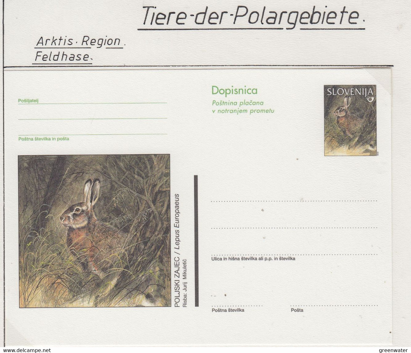 Slovenia Postal Stationery Feldhase Unused  (AN160) - Arctic Tierwelt