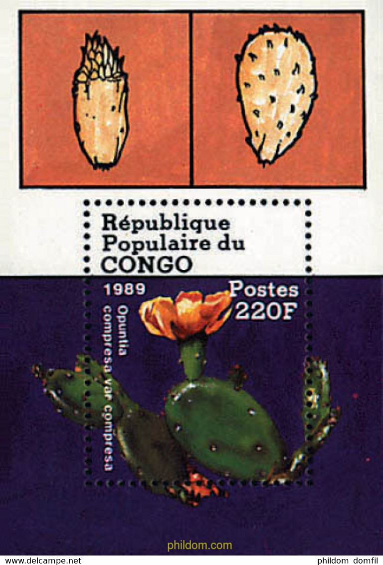 82674 MNH CONGO 1989 CACTUS - FDC