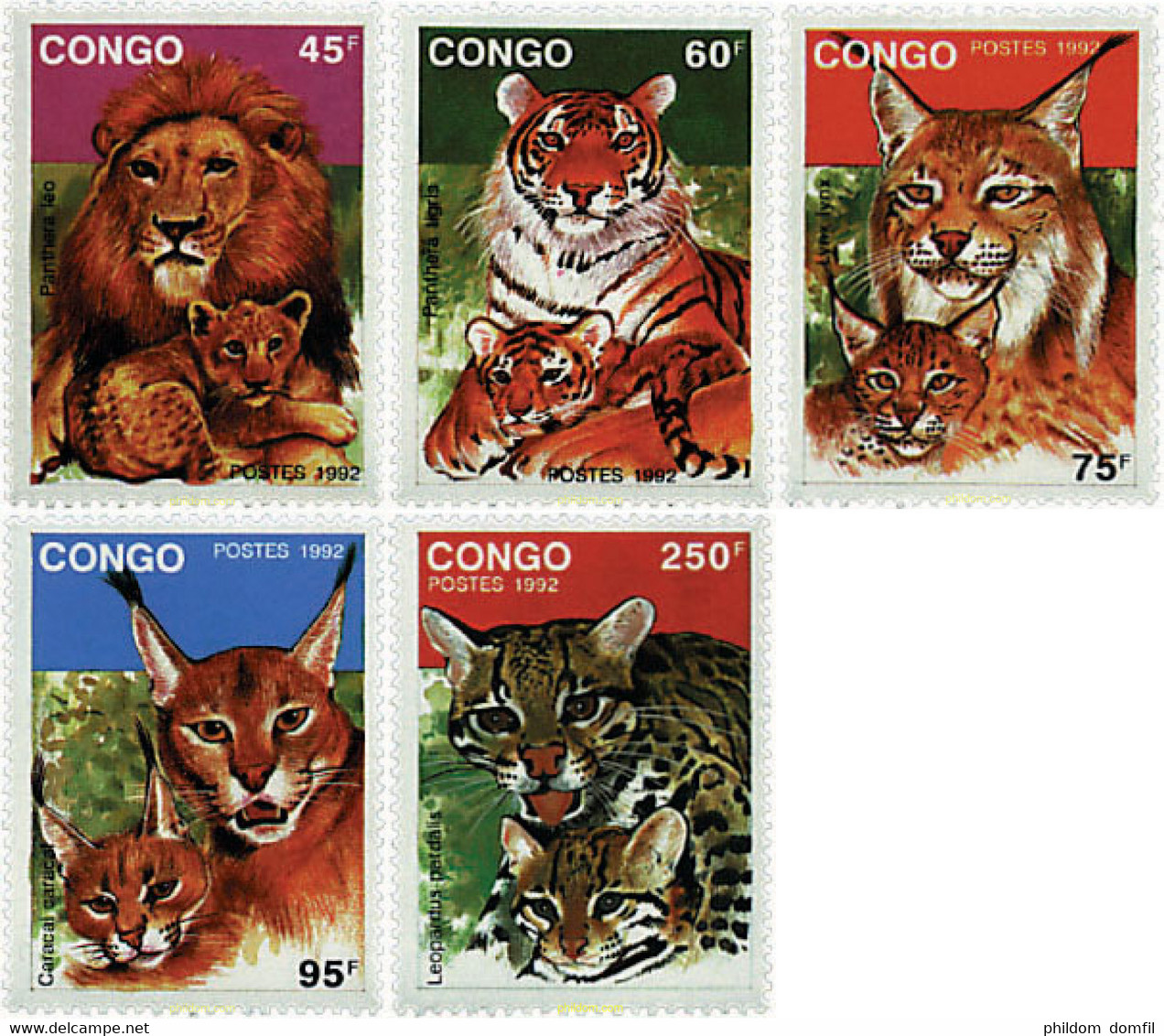 73599 MNH CONGO 1992 FELINOS SALVAJES. - FDC