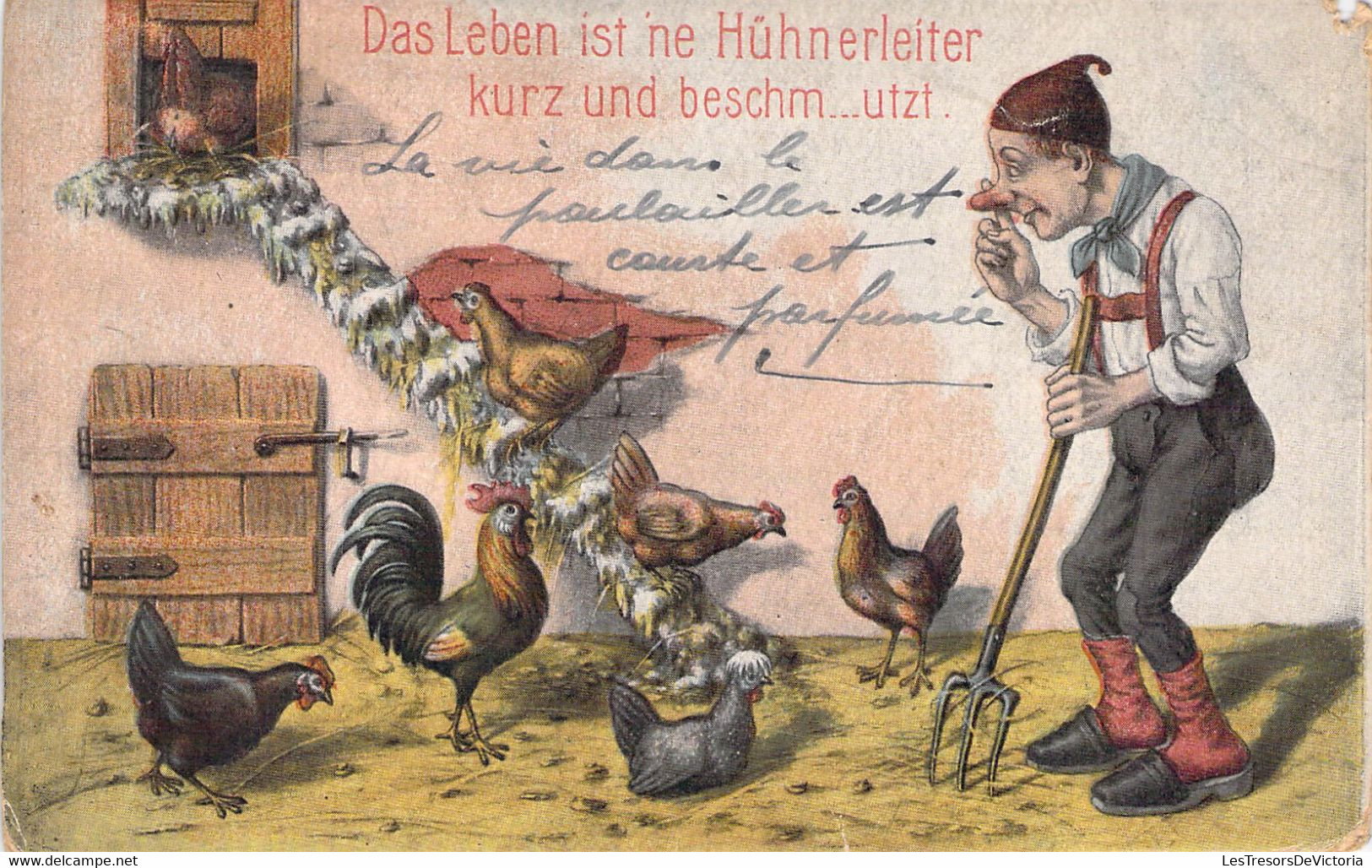 Humour - Das Leben Ist Ne Huhnerleiter Kurz Und Beschm...utzt - Carte Postale Ancienne - Humour