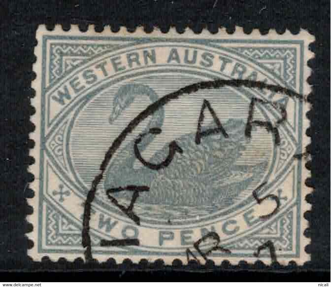 WESTERN AUSTRALIA 1885 2d Grey SG 96 U #APP15 - Usados