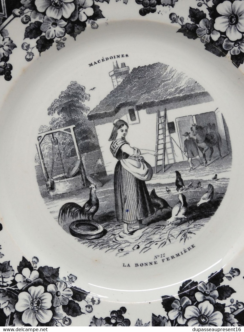 *ASSIETTE CREIL & MONTEREAU PORCELAINE OP. MACEDOINES N° 12 LA BONNE FERMIERE   E - Creil Montereau (FRA)