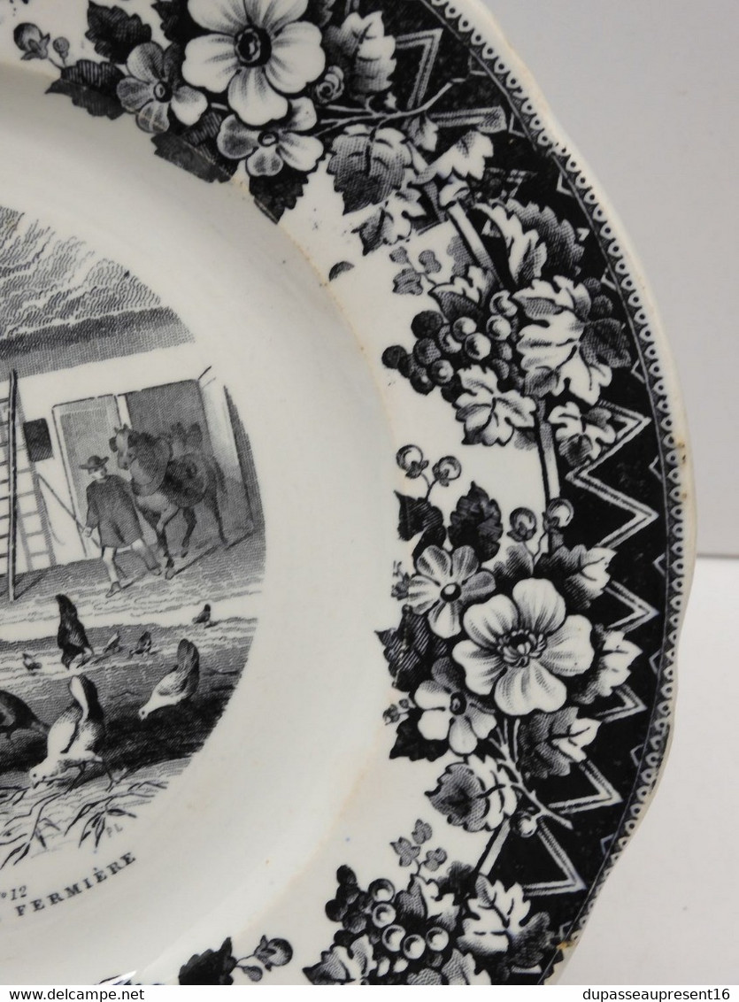 *ASSIETTE CREIL & MONTEREAU PORCELAINE OP. MACEDOINES N° 12 LA BONNE FERMIERE   E - Creil Montereau (FRA)