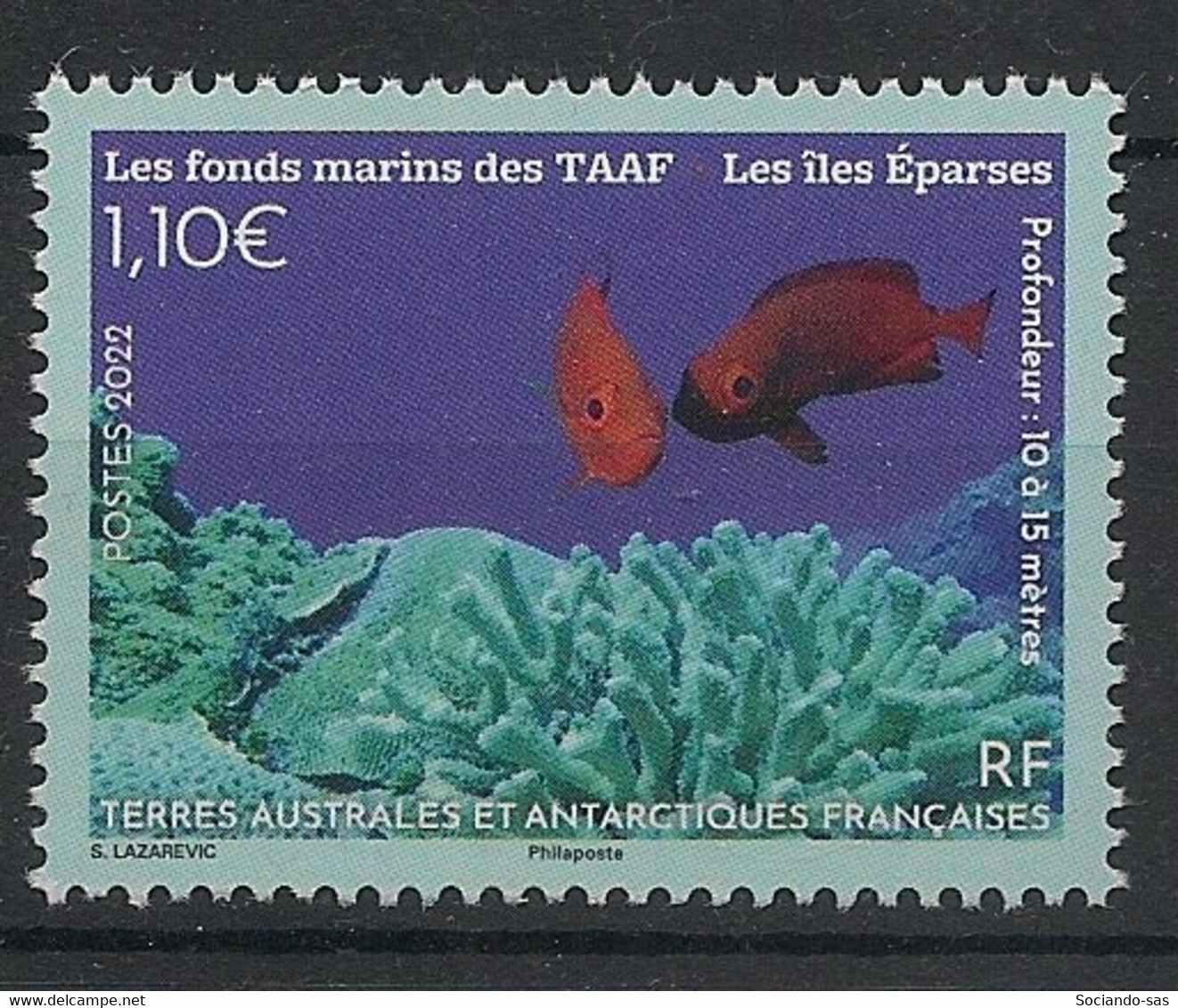 TAAF - 2022 - N°Yv. 1005 - Fonds Marins - Neuf Luxe ** / MNH / Postfrisch - Unused Stamps