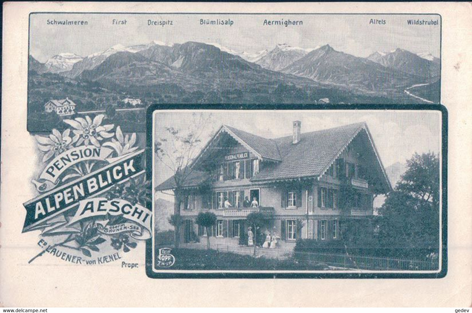 Aeschi BE, Pension Alpenblick, Ed. Lauener Von Kaenel Propriétaire (15.7.1907) - Aeschi Bei Spiez