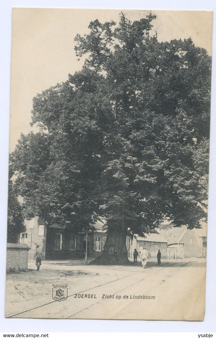 Zoersel - Zicht Op De De Lindeboom - Zörsel