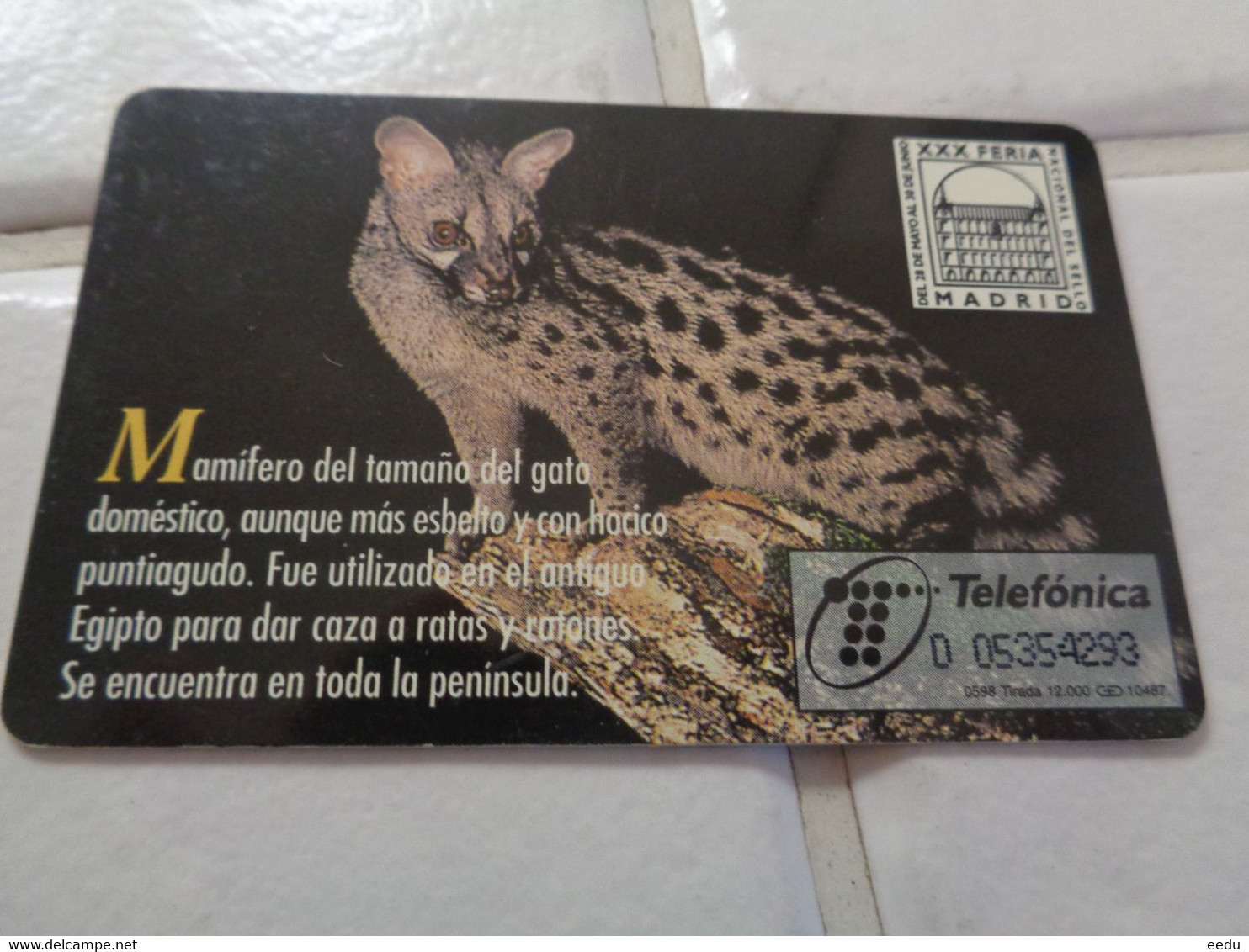 Spain Phonecard - Other & Unclassified