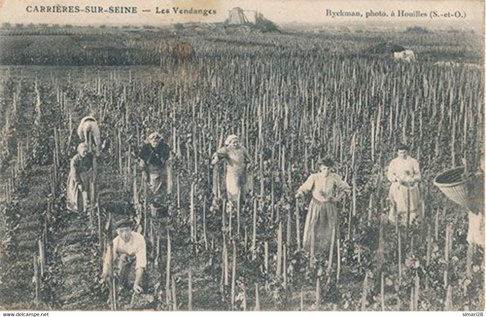 CARRIERES SUR SEINE - LES VENDANGES - Carrières-sur-Seine