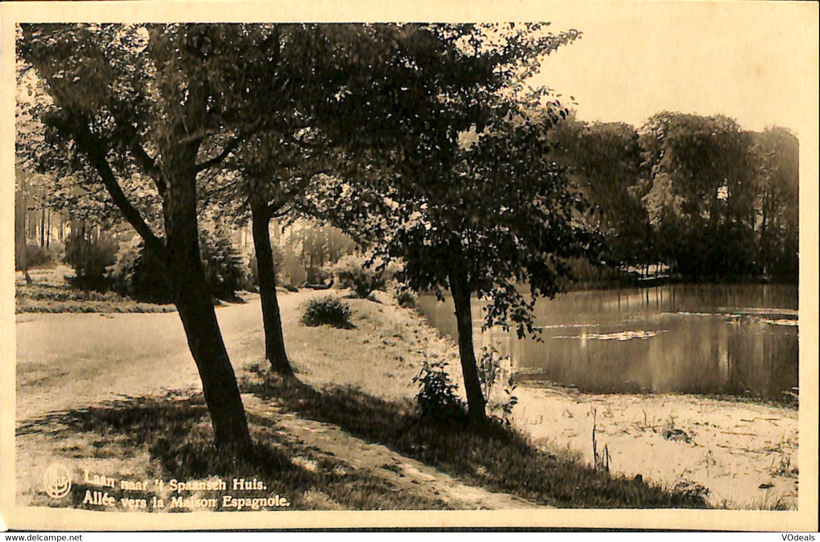 Belgique - Brabant Flamand - Tervueren - Tervuren - Le Parc - Allée Vers La Maison Espagnole - Tervuren