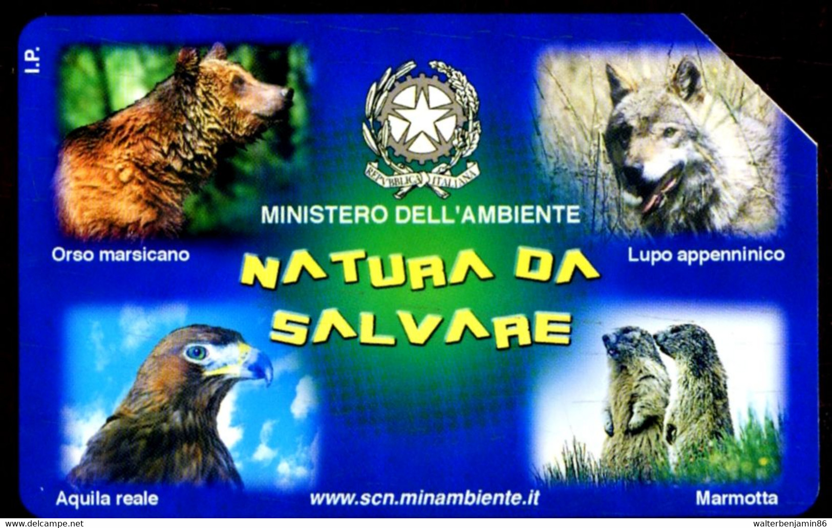 G 1126 C&C 3199 SCHEDA TELEFONICA USATA NATURA DA SALVARE FAUNA - [3] Erreurs & Variétées