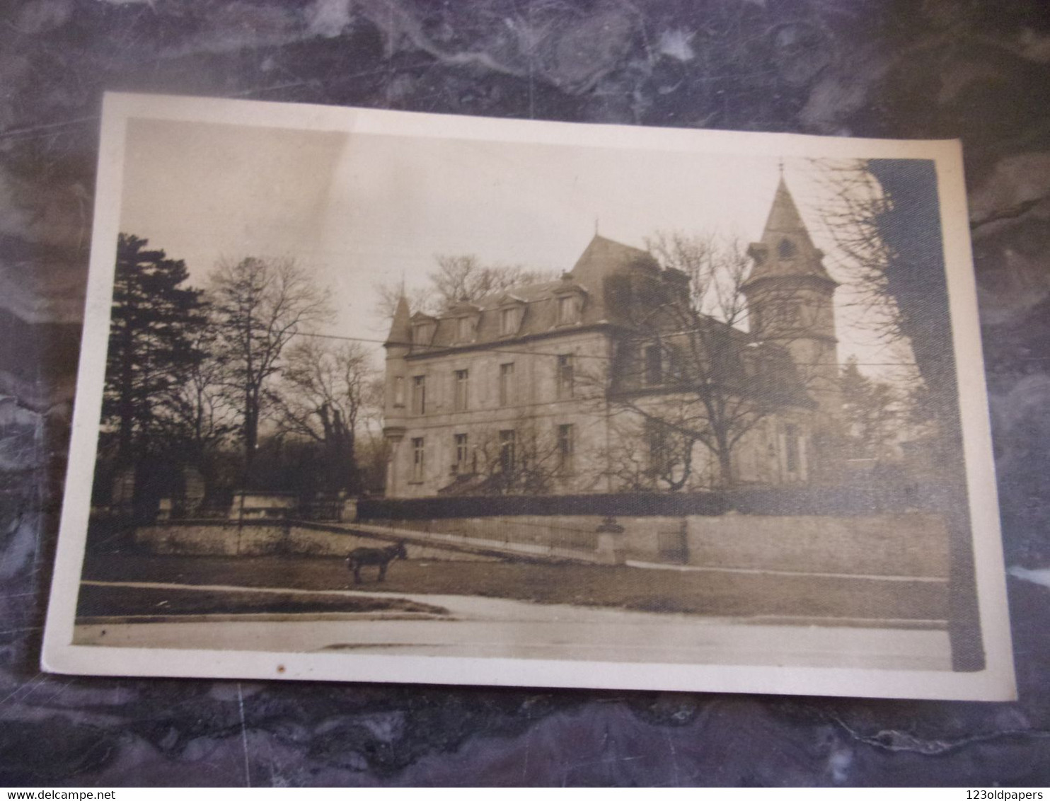 60 0ISE PRECY SUR OISE CARTE PHOTO ANE PAR COUGIBUS - Précy-sur-Oise