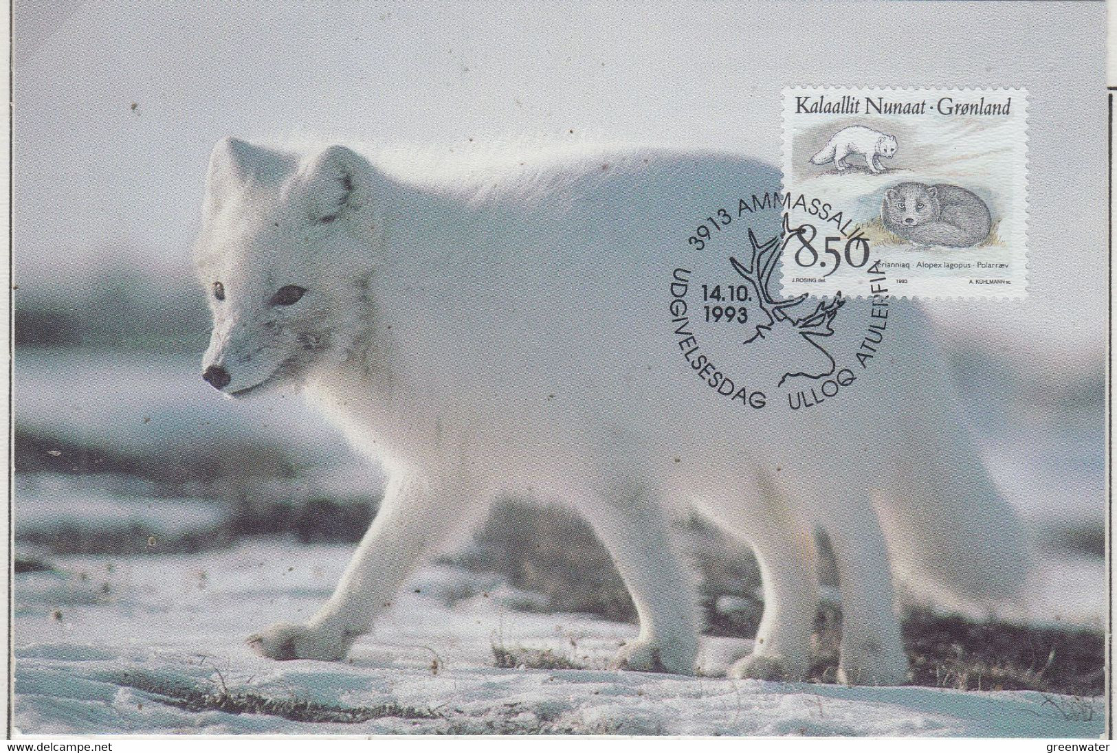 Greenland 1993 Polarwolf 1v Maxicard 14.10.1993 (AN167A) - Arctische Fauna