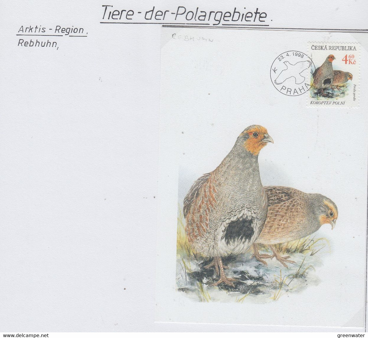 Czech Republic 1998 Rebhuhn  1v Maxicard 23.4.1998 (AN168) - Arctic Tierwelt