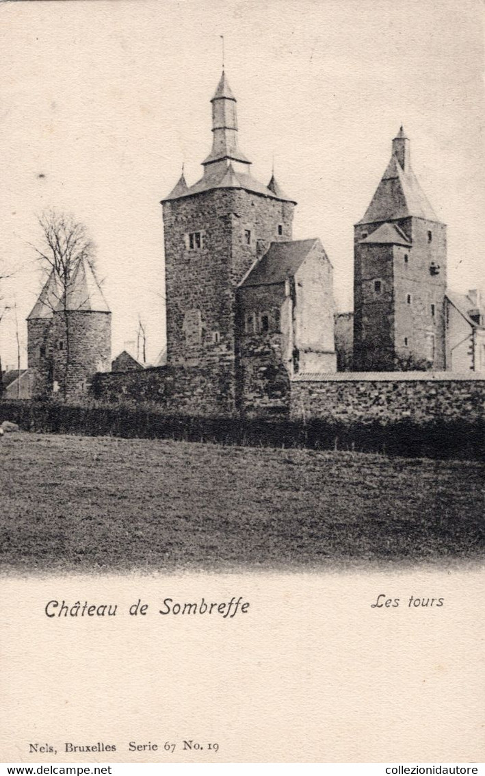 CHATEAU DE SOMBREFFE - LES TOURS - CARTOLINA FP NUOVA PRIMO 900 - Sombreffe